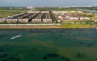 Dự án Waterpoint nằm bên dòng sông Vàm Cỏ Đông.