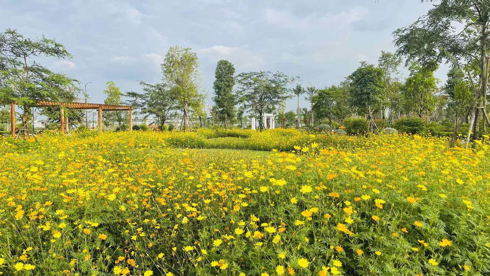 Một góc công viên trung tâm Central Park.